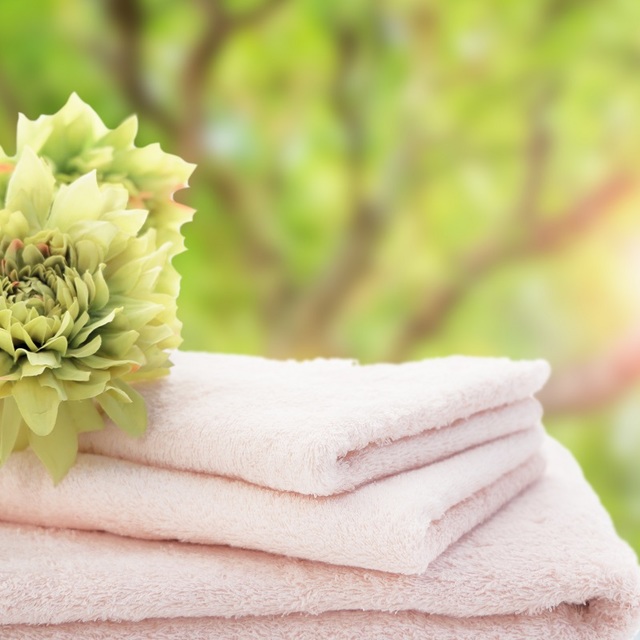 AdobeStock_245142280